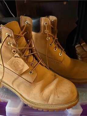 Timberland Men's Premium Waterproof Work Boots